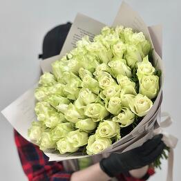 Flora deluxe