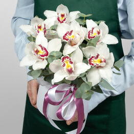 Studio floristic