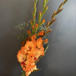 Marmay by