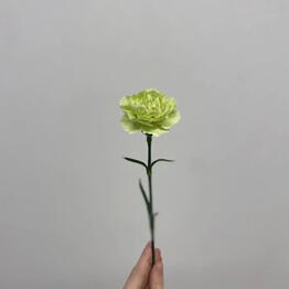 Eto_po_lyubvi.House flowers.