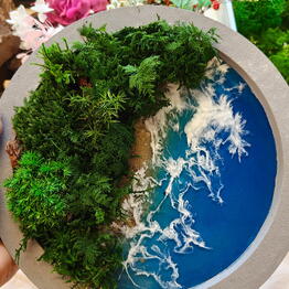 Oasis