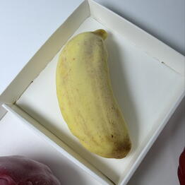 KATTI_BENTO