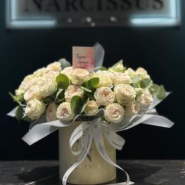 NARCISSUS