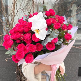 Dalia Rose