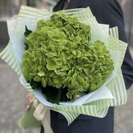 Fleurdecafe Cvety i Kofe