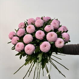 Symphony Flowers