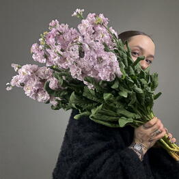РОМАШКА