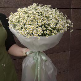 Золотой Лепесток
