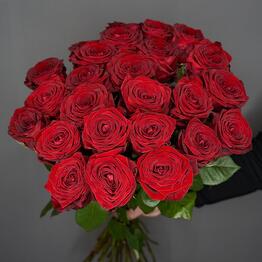 Роза Корнер