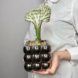 Jules Flower Atelier