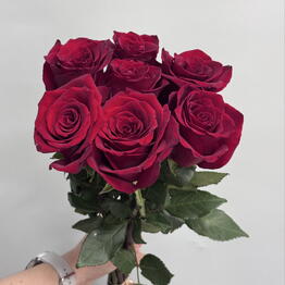 Pack Flowers