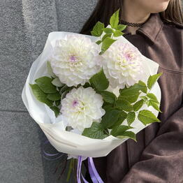  Polli de fleur