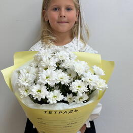 РозаМимоза
