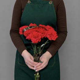 Margaritka