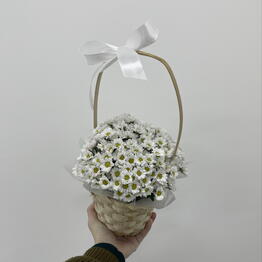 NOVIFLOWERS