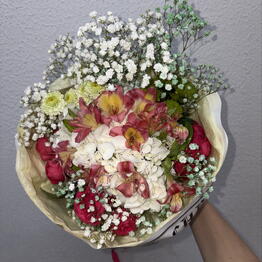 ПЫЛЬЦА