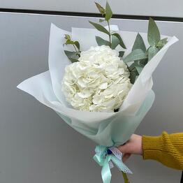 Студия цветов Твой Букет