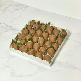 Chokostella