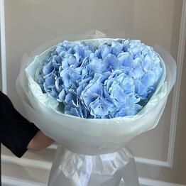 The Flowers 21
