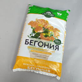 Фрезия