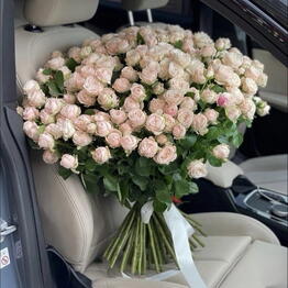 Rose & Co