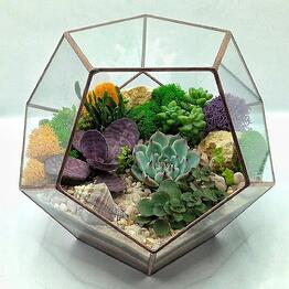 Florariumy Magic in glass ✨