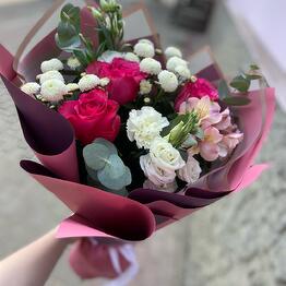 ПРОВАНС