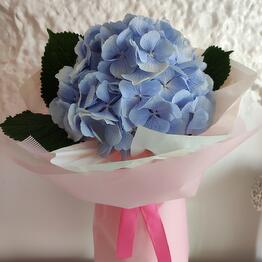 ROZEN