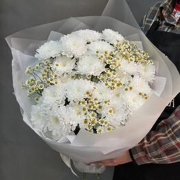 Флористика