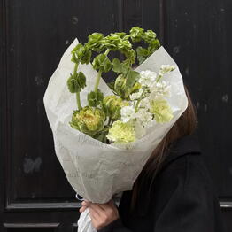Plombir Flowers