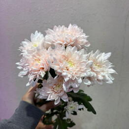 MARTI FLOWERS