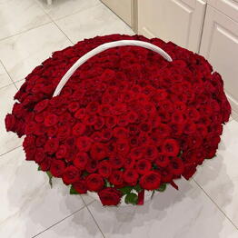 Айша Flowers