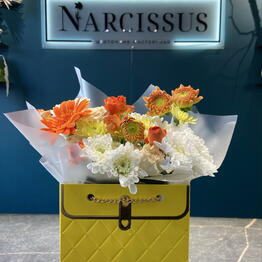NARCISSUS