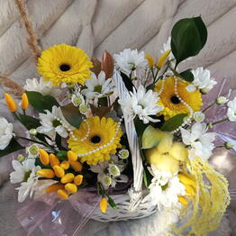 Oze flowers 