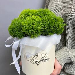 LES FLEUR_Izmailovo