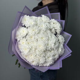 CROCUSS RU