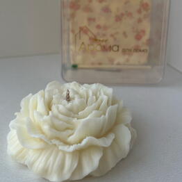 Aroma dlya doma