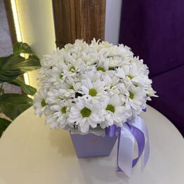 LAVANDA flowers