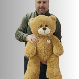 Bears by