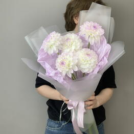BFLOR