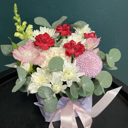 Gentle Flowers Zvezda