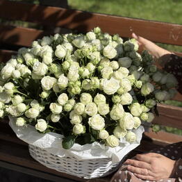 Mikki_flowers_geo