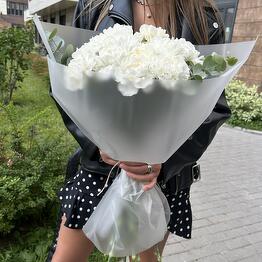 FLOVES