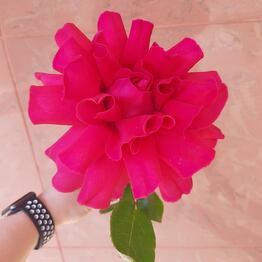 Flower Tower