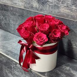 Elite Rose