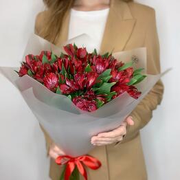Atelier Flora 