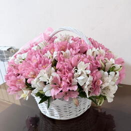 Lotus Flowers and Gifts