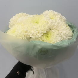 FlorSeason