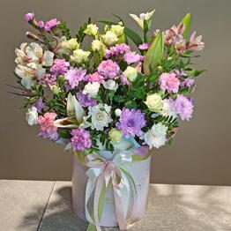 Fiore Lily spb