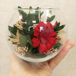 Special Flowers